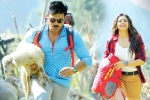 Surendar Reddy, Dhruva, dhruva turns first million dollar film for charan, Usa market