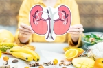 Healthy Kidneys tips, Healthy Kidneys doctors, food items to include in your diet for healthy kidneys, Food options
