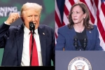 Donald Trump Vs Kamala Harris latest, Donald Trump Vs Kamala Harris statement, donald trump calls kamala harris is married to a jewish man, Fbi