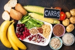 Too Many Carbs breaking, Too Many Carbs breaking, what happens if you eat too many carbs, You