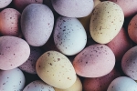 poultry, eggs, egg and chicken prices drop due to bird flu outbreak, Bird flu