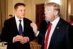 Elon Musk new updates, Donald Trump's Campaign updates, elon musk donates for donald trump s campaign, Pocket