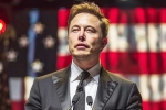 Donald Trump at Pennsylvania, Elon Musk, is elon musk in the trump cabinet, Fbi