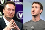 Elon Musk and Mark Zuckerberg news, Elon Musk and Mark Zuckerberg breaking, elon vs zuckerberg mma fight ahead, Partnership