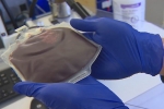 University of Washington, Silene Biotech, company allows donors to deep freeze blood cells, Wendy s