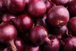 central government, southern states, govt bans onion exports amid shortage in domestic markets, Price change