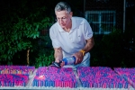 Guinness record for candles, Sri Chinmoy's anniversary, indian guru sri chinmoy s anniversary cake sets guinness record in us, Indian guru sri chinmoy