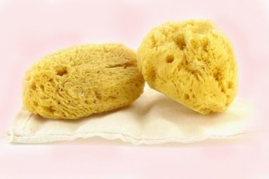 Gynecologist Warns Women Against Using Sea Sponges as &#039;Reusable&#039;, &#039;Nurturing&#039; Alternatives to Tampons
