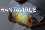 Hantavirus Transmission updates, Hantavirus, hantavirus requires prolonged close contact for transmission, Hantavirus transmission