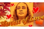 Maryland Upcoming Events, MD Event, harvest of love 2020, Grammy