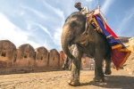India, India, 10 best heritage tours in india, Mamma
