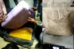Heroin Mumbai Airport visuals, Heroin Mumbai Airport seized, heroin worth rs 34 crores seized in mumbai international airport, Agent