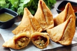 Chana Paneer Samosa good for health, Chana Paneer Samosa fry, high protein chana paneer samosa preparation, 4 kg gold