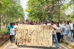 HCU Land, HCU Land issue, all about hyderabad university land row controversy, N t rama rao
