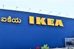 IKEA biryani, IKEA biryani, ikea hyd halts sale of veg biryani samosa after caterpillar in food item, Biriyani IKEA biryani, IKEA biryani, ikea hyd halts sale of veg biryani samosa after caterpillar in food item, Biriyani
