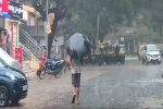 Rains 2024 prediction, Rains 2024 prediction, imd predicts heavy rainfall for five days, Sikkim