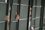 India, Punjabi, over 2 300 indians in u s jails for illegal crossing of border report, Punjabis