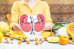 Kidneys Health important, Kidneys Health doctors, how to keep your kidneys healthy, Right food Kidneys Health important, Kidneys Health doctors, how to keep your kidneys healthy, Right food