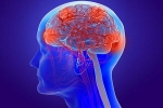 Coronavirus brain news, Coronavirus, coronavirus can cause long term loss of brain tissue, Post covid complications