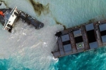 Japanese, Japanese, everything about mauritius oil spill and india s assistance, Eco system