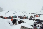 Mount Everest Snowstorm latest, Mount Everest Snowstorm stranded, more than 1000 stranded near mount everest because of snow storm, Tibe