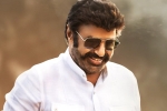 Balakrishna, Balakrishna next movie, interesting title locked for nbk s next, Bb3