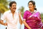Annapurna Studios, Bangarraju business, nagarjuna s bangarraju turns hot among sankranthi releases, Sankranthi 2022