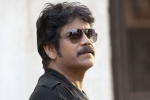 Nagarjuna, Nagarjuna latest, nag signs a bollywood flick, Devadasu Nagarjuna, Nagarjuna latest, nag signs a bollywood flick, Devadasu