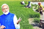 Narendra Modi news, Narendra Modi Farmers, narendra modi s innovations for farmers, Water pollution