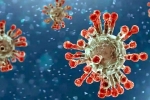 China Covid Row cases, China Covid Row reports, new china coronavirus variant traced in india, Nri