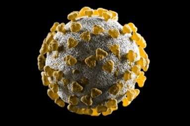 New Variants of Coronavirus Will Continue to Emerge