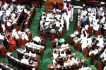 BJP, BJP, no end to parliament chaos, Lok sabha speaker sumitra mahajan
