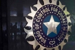 World Cup 2027 India Probables new updates, Team India, odi world cup 2027 probables decided by bcci, Testing
