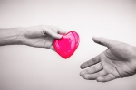 Organ Donations, Massachusetts Campaign To Lift Organ Donations, massachusetts campaign to lift organ donations, Organ donation Organ Donations, Massachusetts Campaign To Lift Organ Donations, massachusetts campaign to lift organ donations, Organ donation