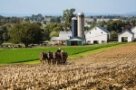Pennsylvania Farmers, Pennsylvania Farmers, pennsylvania farmers anxiously keep an eye on u s china trade war, Us china trade war Pennsylvania Farmers, Pennsylvania Farmers, pennsylvania farmers anxiously keep an eye on u s china trade war, Us china trade war