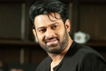 Prabhas updates, Prabhas new film, prabhas to join project k from november, Ashwini dutt Prabhas updates, Prabhas new film, prabhas to join project k from november, Ashwini dutt