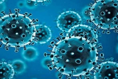 R.1 Variant of Coronavirus Traced in 35 Countries