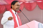 Telangana early elections, Congress, rahul gandhi a biggest buffon of the country kcr, Trs chief