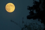 Supermoon 2025 decoded, Supermoon 2025 decoded, science behind supermoon explained, Marvel
