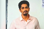 Siddharth new controversy, Siddharth latest updates, siddharth faces backlash on twitter, Sun