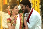 Silly Fellows Movie Tweets, Silly Fellows rating, silly fellows movie review rating story cast and crew, Kiran reddy