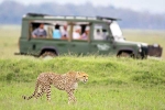 South African Safari Trip, South African Safari Trip list, how to plan your south african safari trip, Us open