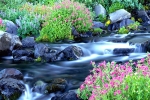 Arizona Events, Arizona Current Events, meditation workshops for spiritual awareness, Meditation workshop