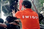 Swiggy latest, Swiggy IPO news, swiggy plans to raise rs 5000 cr through fresh ipo issue, Grocery delivery