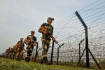 US slams China, China behaviour at border, us bangs china for disturbing behaviour at india s border, Alice g wells