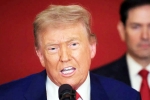 Donald Trump Tariff War with India latest, Donald Trump Tariff War with India statement, top us economist on trump s tariff war with india, Brics