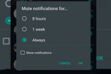 WhatsApp to bring &#039;always mute&#039; option for chats on Android