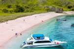 Indonesia, Pink Beach in Indonesia, which pink beach should you visit in indonesia, Items