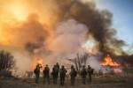 arizona fire in control, Wildfire in arizona, wild fire spread across south east arizona gets in control, Grasse arizona fire in control, Wildfire in arizona, wild fire spread across south east arizona gets in control, Grasse