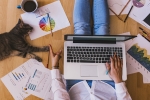 Indeed, remote, search for work from home jobs rises 442 from february to july 2020, Career options Indeed, remote, search for work from home jobs rises 442 from february to july 2020, Career options